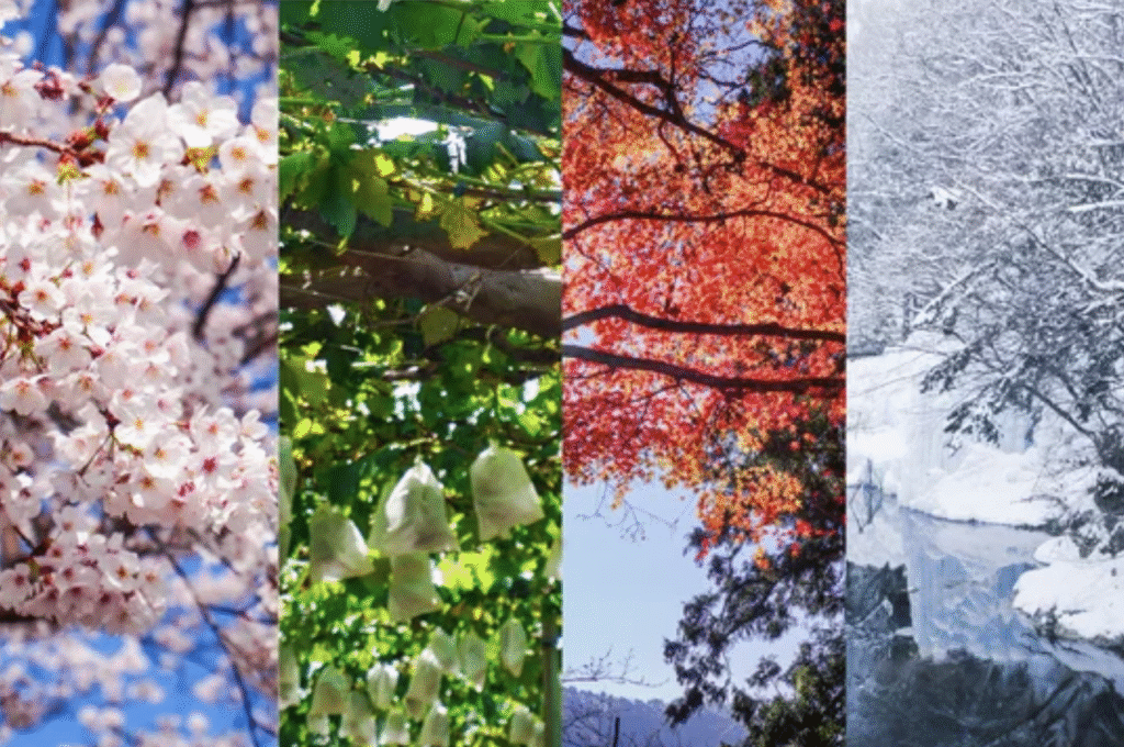 外壁塗装や住宅リノベーションなら「合同会社 HIGH」へ